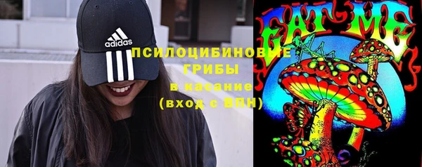 гидропоника Вяземский