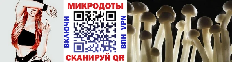 Галлюциногенные грибы мицелий  Южно-Сухокумск 